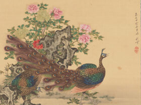 牡丹孔雀図　岡本秋暉