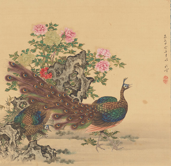 牡丹孔雀図　岡本秋暉
