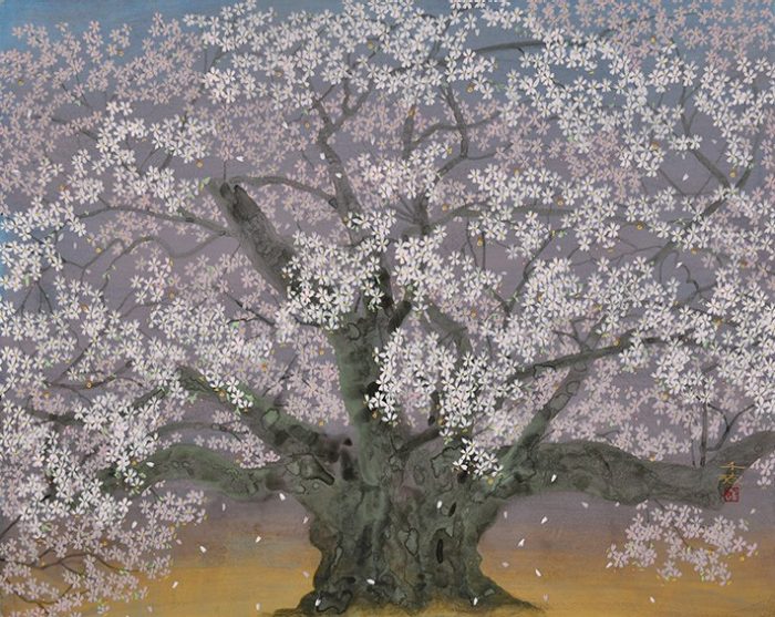 薄墨桜 30号 取材地：岐阜県本巣市