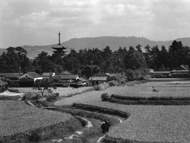 「薬師寺東塔遠望」1957年頃