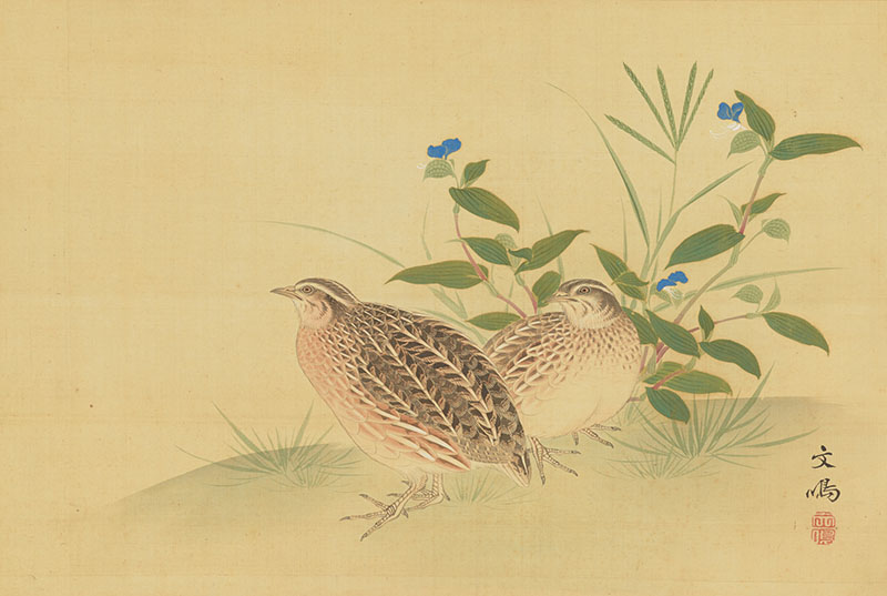 秋草鶉図　奥文鳴