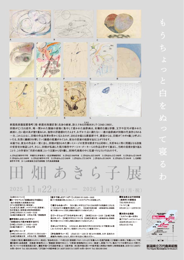 「田畑あきら子展」新潟県立万代島美術館