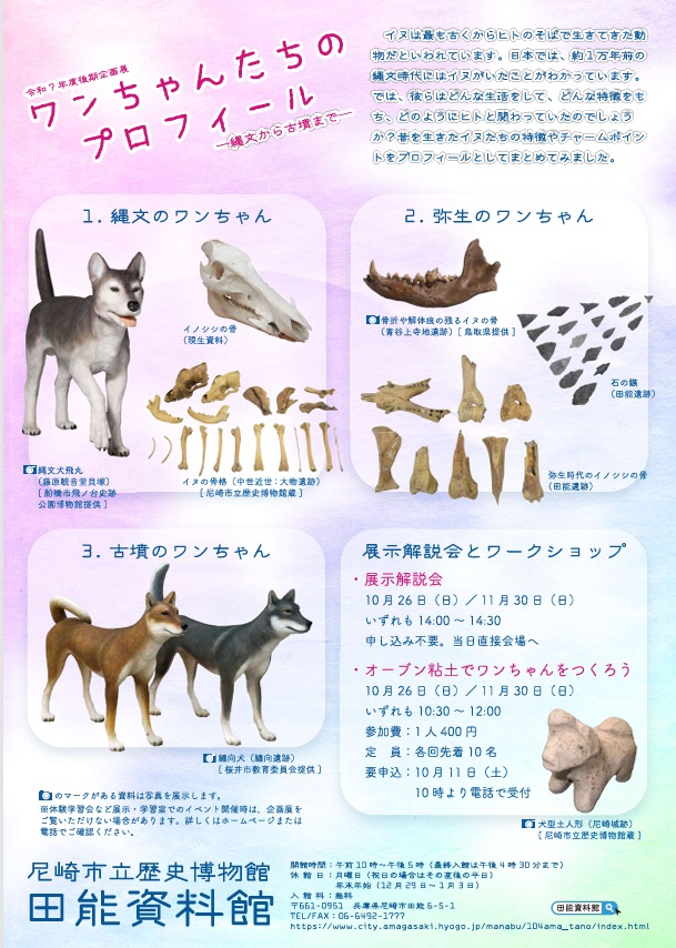 企画展「ワンちゃんたちのプロフィール―縄文から古墳まで―」尼崎市立歴史博物館田能資料館