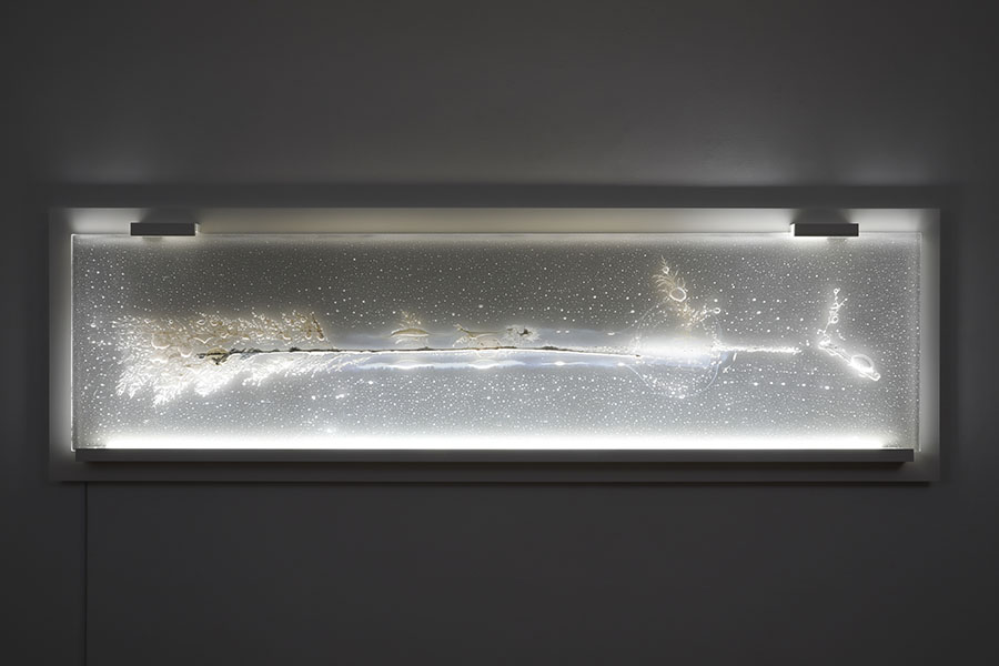 佐々木類《Reminiscences of the Garden-from Jacob Knapp-》2022-2023年、作家蔵、撮影：来田猛/写真提供：アートコートギャラリー