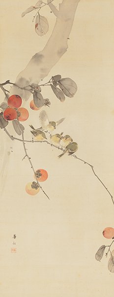 柿目白図 鈴木華邨