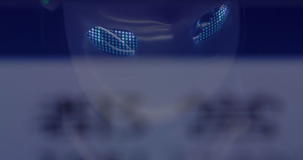 Maiko Endo | X | 2022　©Maiko Endo / Tokyo Photographic Art Museum