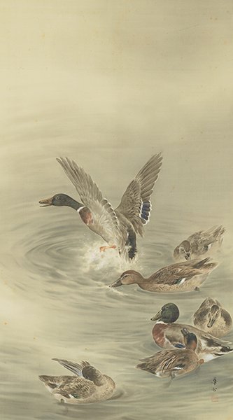 群鴨図 鈴木華邨