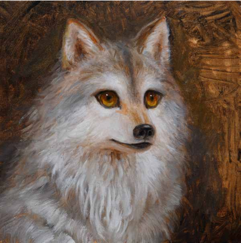 作品名：《drawing 狼》

サイズ：33.3×33.3cm

