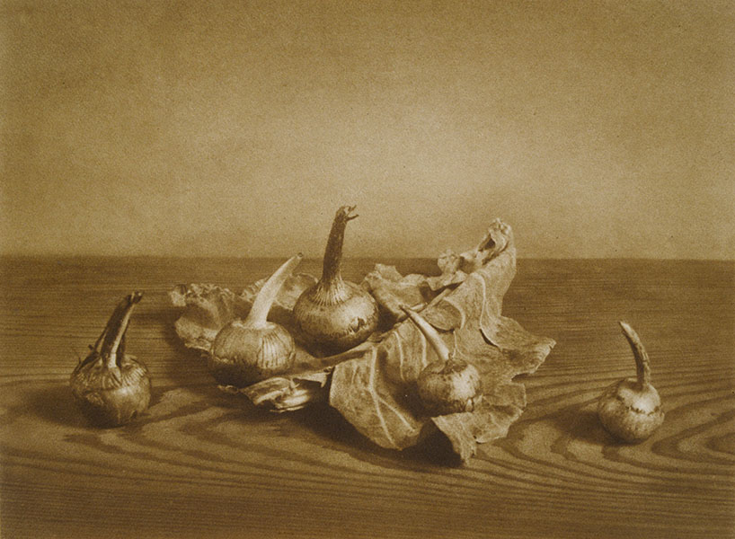 野島康三《慈姑の図》1927年｜ブロムオイル・プリント｜京都国立近代美術館蔵