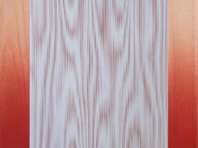 「10 Years of Plotter Drawing」MON Gallery and WineBar