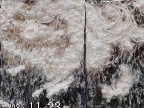 川原和美 「そのまま、いま、ここに」ギャラリー1045富山