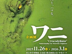「ワニ」国立科学博物館