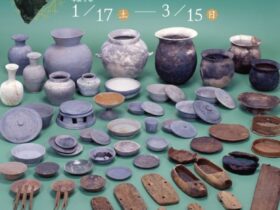 冬季企画展「但馬国出石郡家と袴狭遺跡」兵庫県立考古博物館