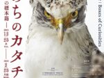 「いのちのカタチ展―好奇心の標本箱―」沖縄県立博物館美術館