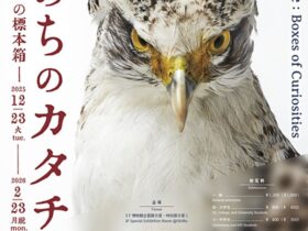「いのちのカタチ展―好奇心の標本箱―」沖縄県立博物館美術館