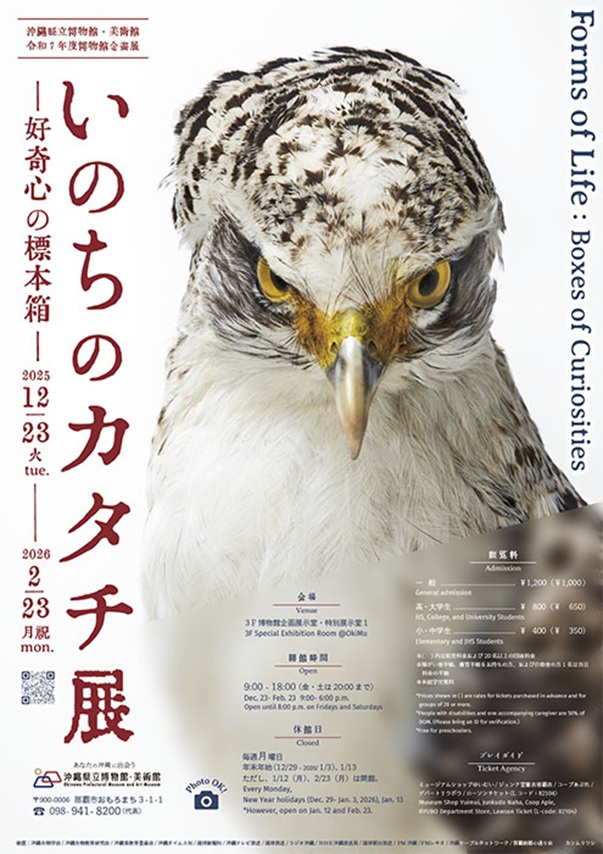 「いのちのカタチ展―好奇心の標本箱―」沖縄県立博物館美術館