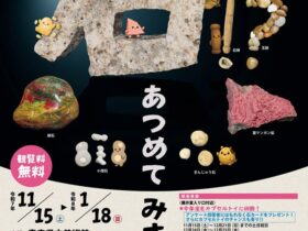 令和7年度青森県立郷土館サテライト展「石!?あつめてみました」青森県立美術館