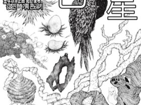 キム・ヒョジン 「『白色矮星』백색왜성 White dwarf」gallery TOWED