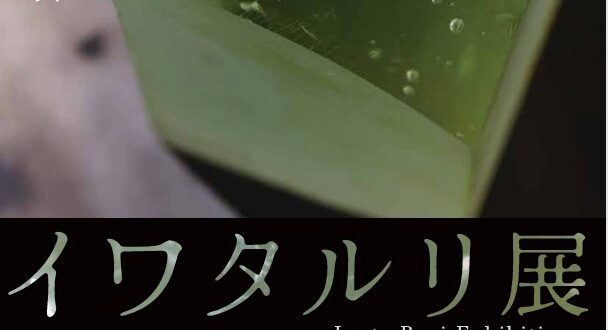 「イワタルリ展 息づくガラス」北海道立近代美術館