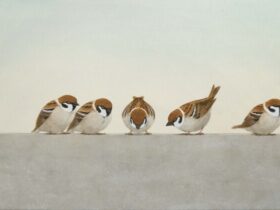 「並」27.3×65.2cm