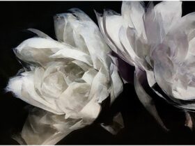 「芍華」97.0×130.3㎝（60号M）キャンバス・油彩