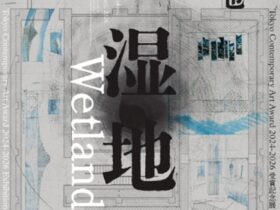 Tokyo Contemporary Art Award 2024-2026 受賞記念展「湿地」東京都現代美術館