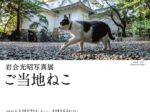 「岩合光昭写真展 ご当地ねこ 」大垣市スイトピアセンター