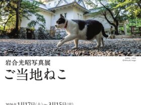 「岩合光昭写真展 ご当地ねこ 」大垣市スイトピアセンター