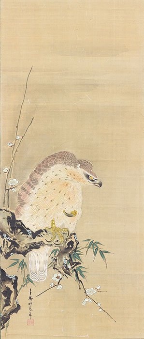 勝部如春斎《古梅鷲図》18世紀　新収蔵作品