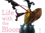 伊藤千穂「Life with the Bloom」白白庵