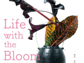 伊藤千穂「Life with the Bloom」白白庵