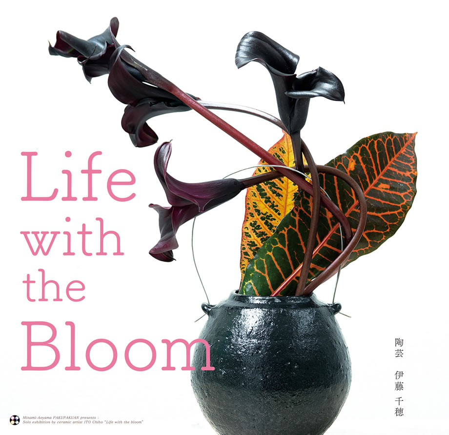 伊藤千穂「Life with the Bloom」白白庵