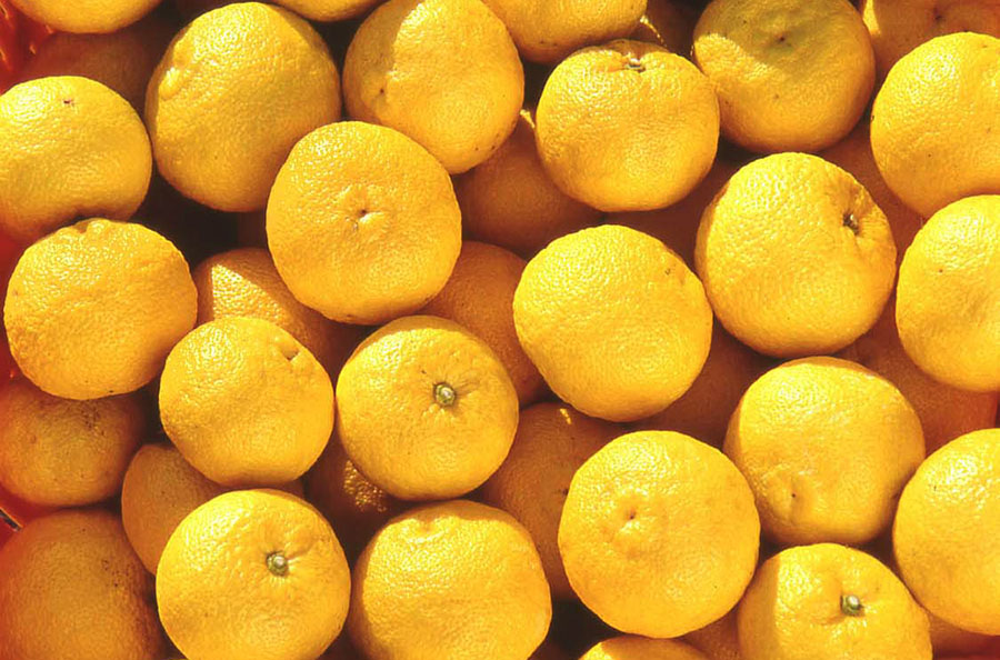 京都dddギャラリー第250回企画展「 LOCAL LOCAL ないものはない 梅原真展」京都dddギャラリー