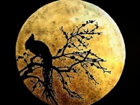 「ツクヨミ 〜日本鶏〜」（縦53×横53cm）