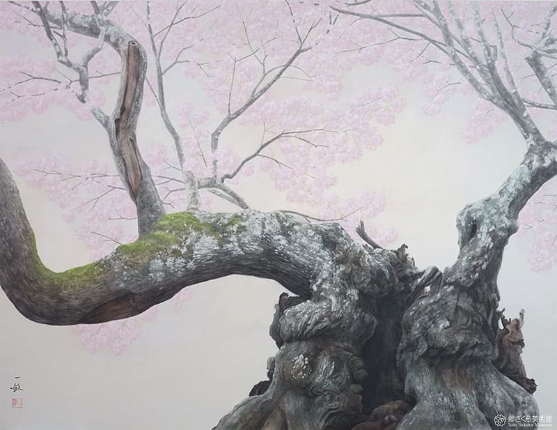 押元一敏《山高神代桜》2022年