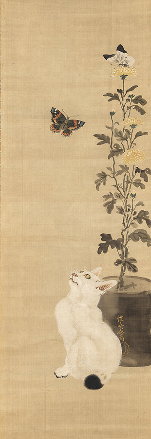 蝶と菊に猫 河鍋暁斎 一幅 明治4～22年（1871-89） イスラエル・ゴールドマン・コレクション Photo: Ken Adlard