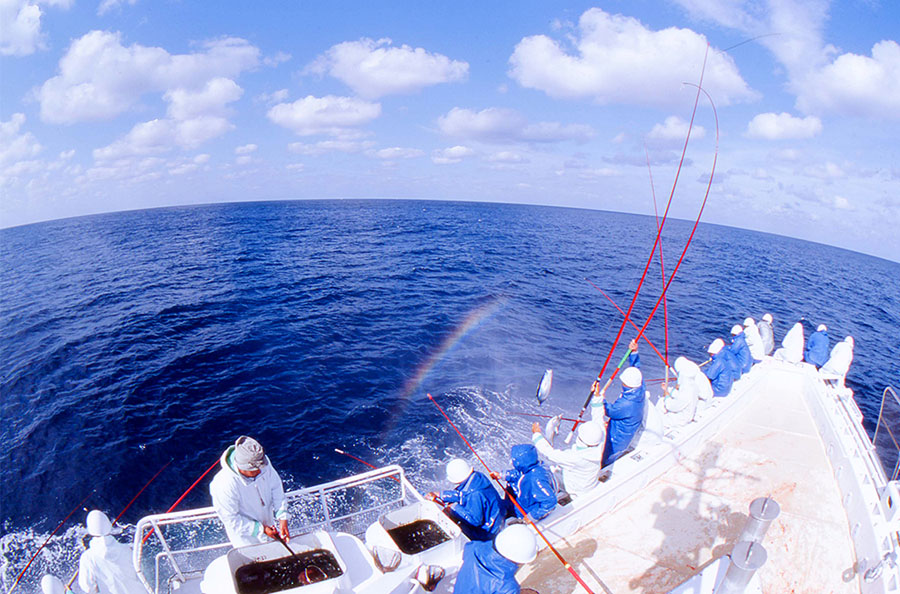 京都dddギャラリー第250回企画展「 LOCAL LOCAL ないものはない 梅原真展」京都dddギャラリー