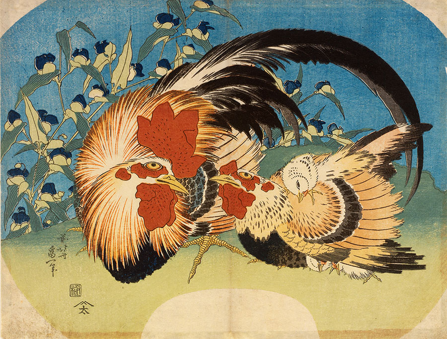 葛飾北斎《露草に鶏》団扇絵判錦絵　天保3年(1832)頃　RISD美術館蔵 Courtesy of the Museum of Art, Rhode Island School of Design, Providence Gift of Mrs. John D. Rockefeller, Jr.　