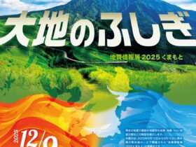 企画展「火の国・水の国！大地のふしぎ－地質情報展2025くまもと－」地質標本館