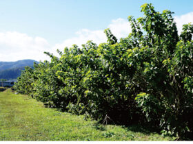 「京都工芸繊維大学 近代京都の蚕業と染織」京都工芸繊維大学 美術工芸資料館