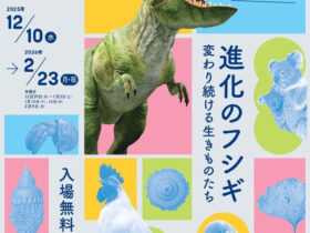 2025 冬の企画展「進化のフシギ 変わり続ける生きものたち」港区立みなと科学館