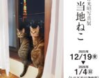 「岩合光昭 ご当地ねこ」京王百貨店 新宿店