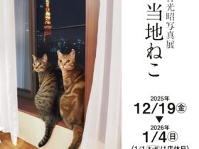 「岩合光昭 ご当地ねこ」京王百貨店 新宿店