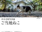 岩合光昭写真展「ご当地ねこ」大垣市スイトピアセンター アートギャラリー