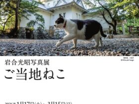 岩合光昭写真展「ご当地ねこ」大垣市スイトピアセンター アートギャラリー