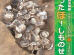 第23回 発掘速報展「掘ったほ！しものせき」下関市立考古博物館