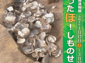 第23回 発掘速報展「掘ったほ！しものせき」下関市立考古博物館