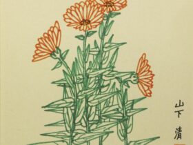 金せん花 　 色ペン画　色紙