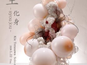 「寺澤季恵 生生 syoujou 化身」Art + Craft Gallery蚕室