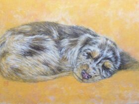 佐藤 龍生「微睡」4号F 紙本着彩